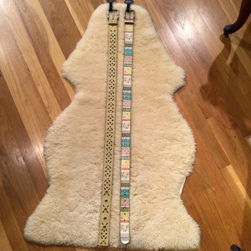 Fossil Set Of 2 Studded Leather Belts - image 3